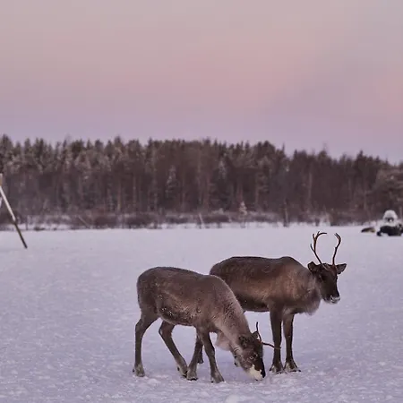 Joiku Luxury Lakeview